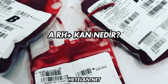 A Rh+ Kan Nedir?