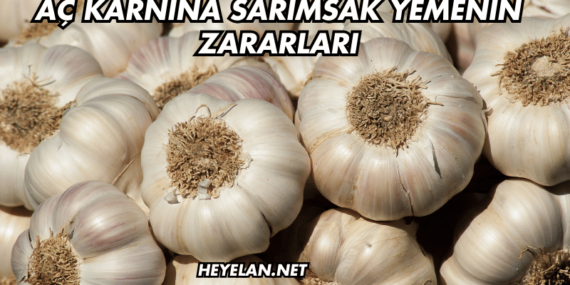 Aç Karnına Sarımsak Yemenin Zararları
