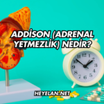 Addison (Adrenal Yetmezlik) Nedir?