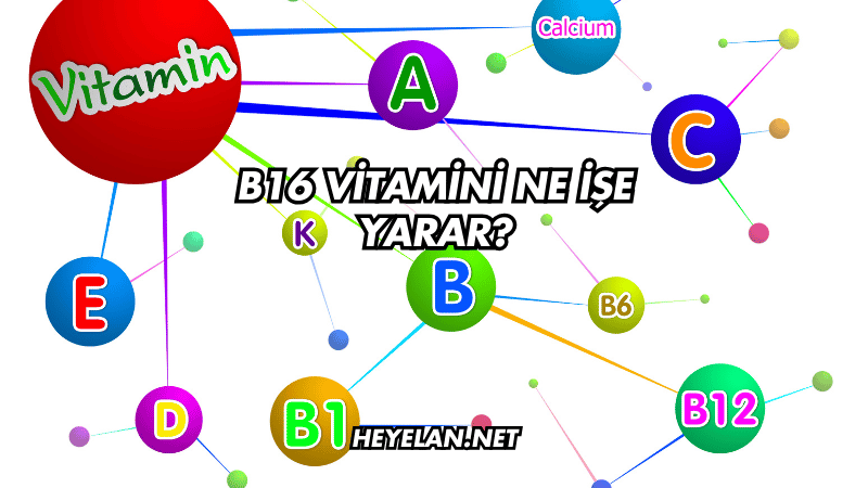 B16 Vitamini Ne İşe Yarar?