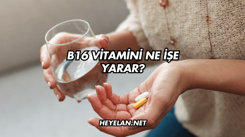 B16 Vitamini Ne İşe Yarar?