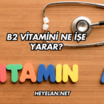 B2 Vitamini Ne İşe Yarar?