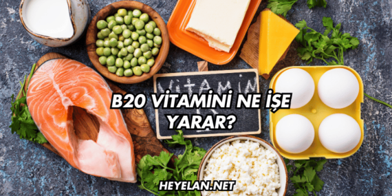 B20 Vitamini Ne İşe Yarar?