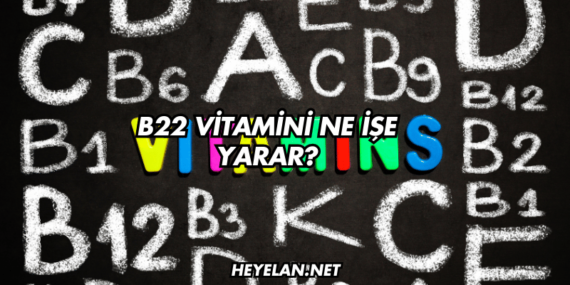 B22 Vitamini Ne İşe Yarar?