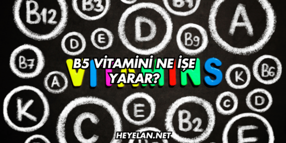 B5 Vitamini Ne İşe Yarar?