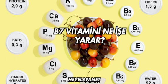 B7 Vitamini Ne İşe Yarar?