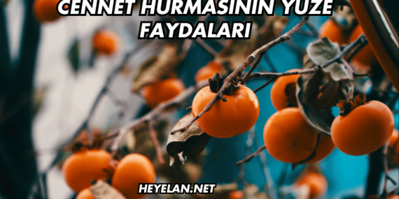 Cennet Hurmasının Yüze Faydaları