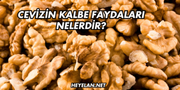 Cevizin Kalbe Faydaları Nelerdir?