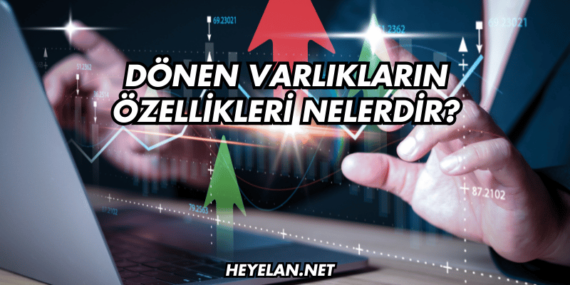 Dönen Varlıkların Özellikleri Nelerdir?