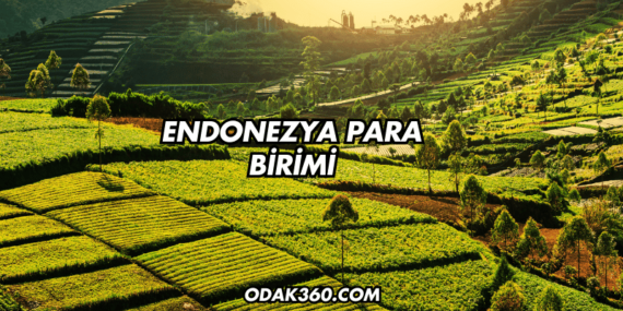 Endonezya Para Birimi