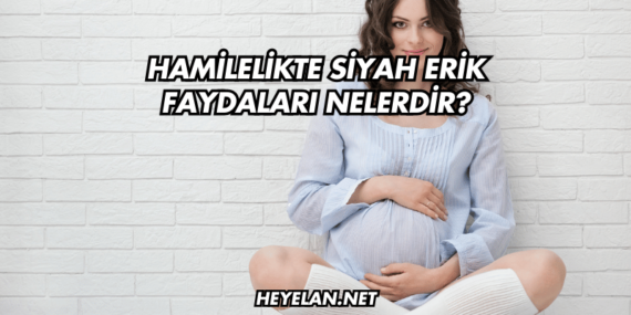 Hamilelikte Siyah Erik Faydaları Nelerdir?