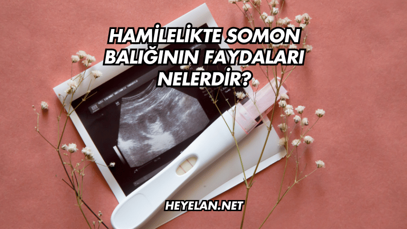 Hamilelikte Somon Balığının Faydaları Nelerdir?