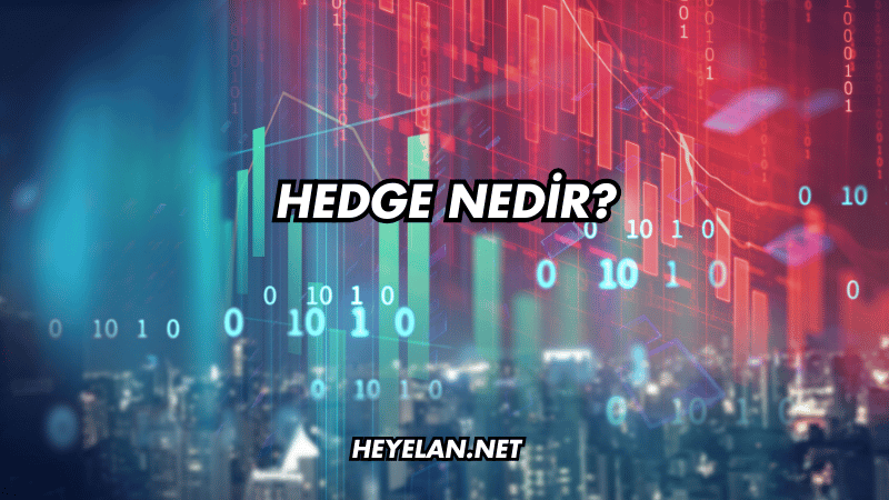 Hedge Nedir?