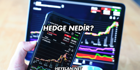 Hedge Nedir?