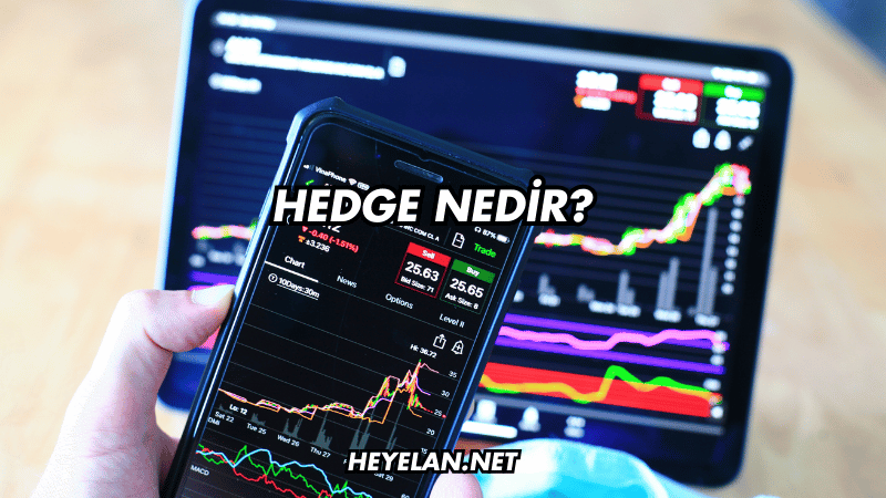 Hedge Nedir?