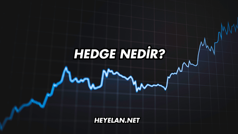 Hedge Nedir?