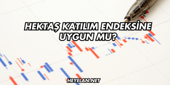 Hektaş Katılım Endeksine Uygun mu?