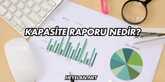 Kapasite Raporu Nedir?