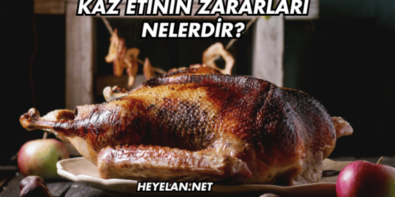 Kaz Etinin Zararları Nelerdir?