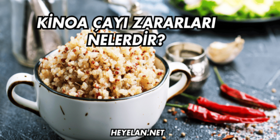 Kinoa Çayı Zararları Nelerdir?