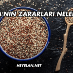 Kinoa'nın Zararları Nelerdir?