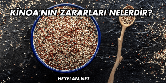 Kinoa’nın Zararları Nelerdir?