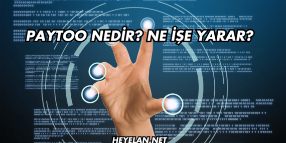 PayToo Nedir? Ne İşe Yarar?