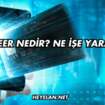 Payeer Nedir? Ne İşe Yarar?