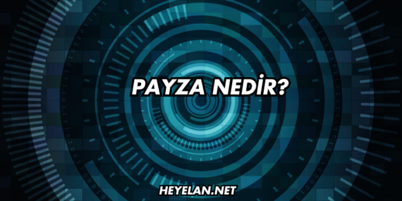Payza Nedir?