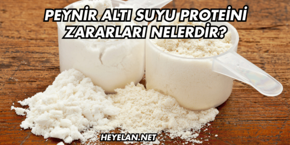 Peynir Altı Suyu Proteini Zararları Nelerdir?