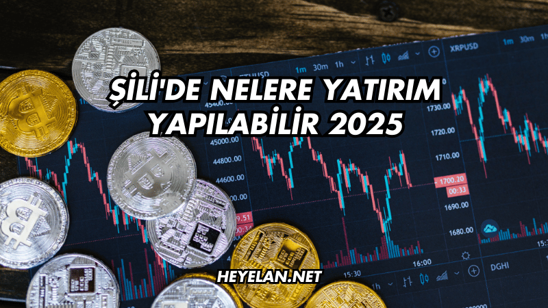 Şili'de Nelere Yatırım Yapılabilir 2025