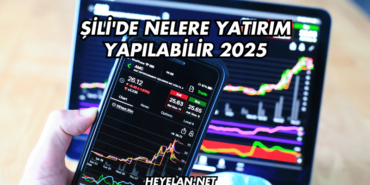 Şili'de Nelere Yatırım Yapılabilir 2025