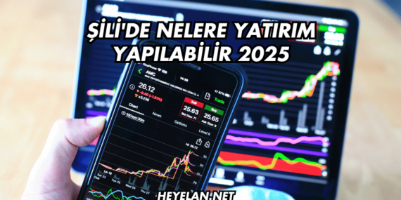 Şili’de Nelere Yatırım Yapılabilir 2025