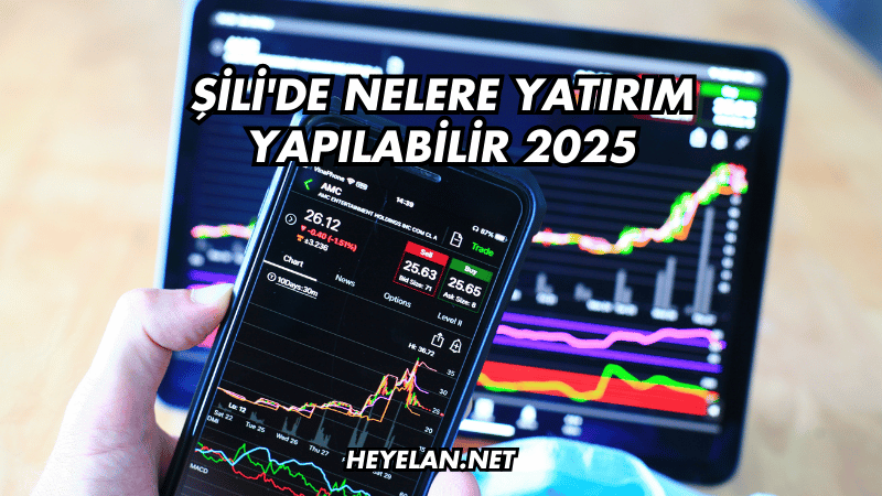 Şili'de Nelere Yatırım Yapılabilir 2025