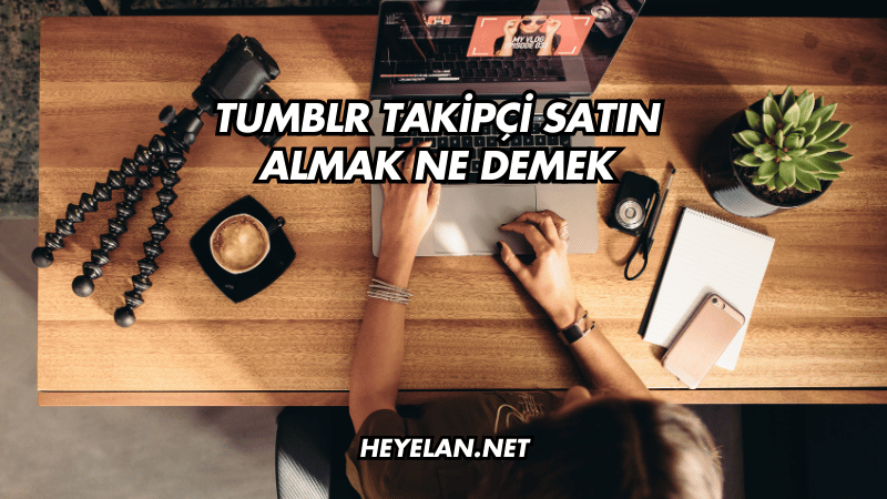 Tumblr Takipçi Satın Almak Ne Demek