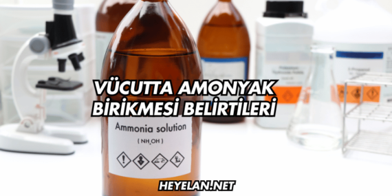 Vücutta Amonyak Birikmesi Belirtileri