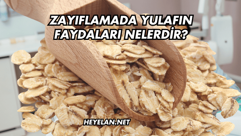 Zayıflamada Yulafın Faydaları Nelerdir?