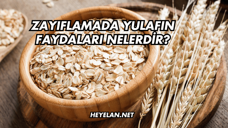 Zayıflamada Yulafın Faydaları Nelerdir?