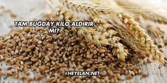 Tam Buğday Kilo Aldırır mı?